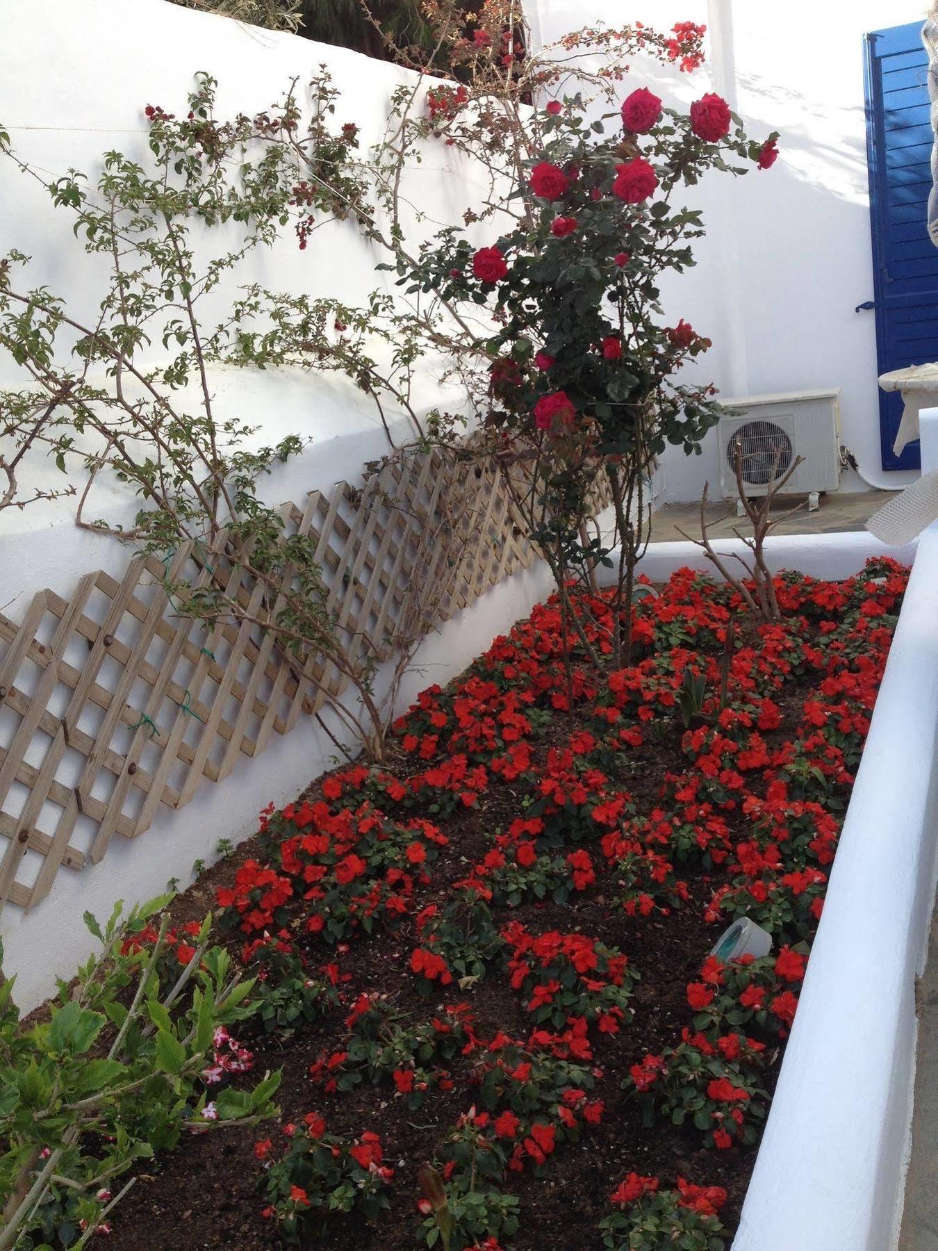 Apartament Mata's *
